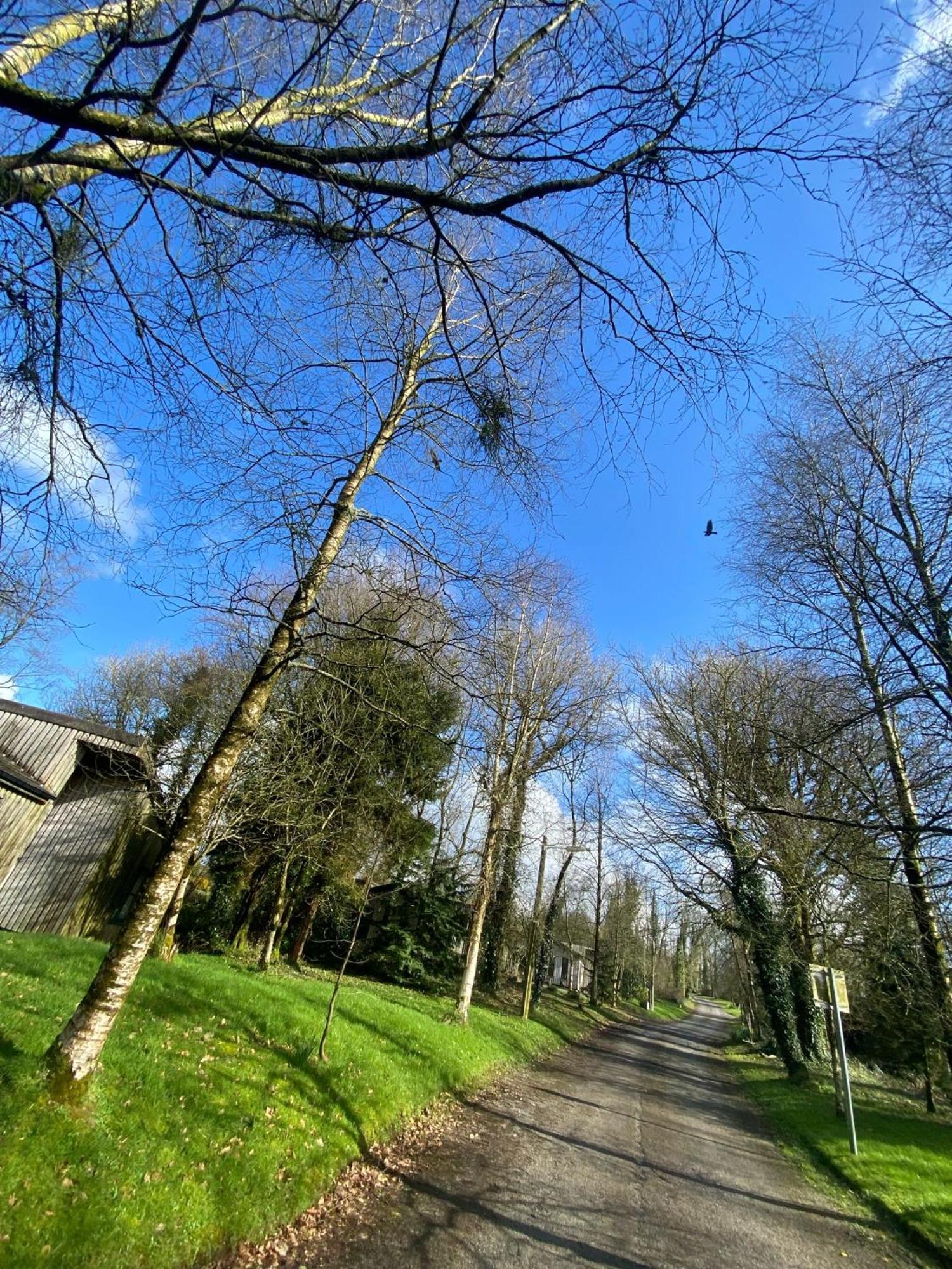 Ballyhoura Mountain Lodges Ballyorgan Exterior photo